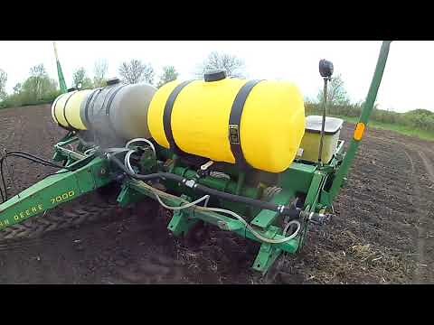 Planting sunflowers with a John Deere 7000 planter pulled by an IH 1086
