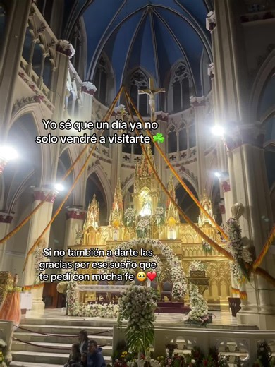 #pazmental🙌🏼 ❤️✨#virgencitadelcisne #loja