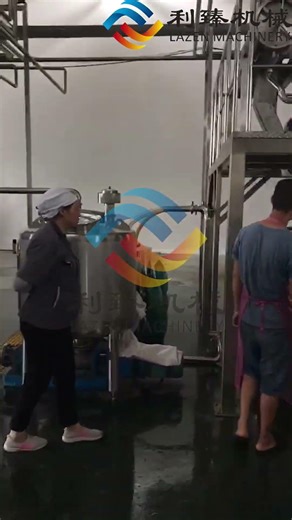 Automatic Mango Juice / Pulp / Concentrate Production Line