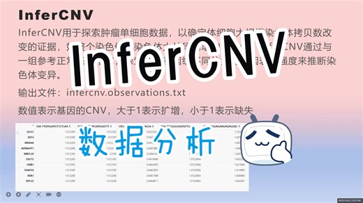 【手把手教学】单细胞测序-10 InferCNV分析