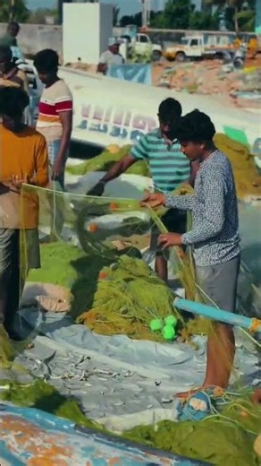 Fisherman’s Life Story – The Hard Truth Behind Every Catch! 😢#fishing #fish #trending #beach #viral
