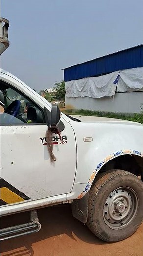 Goods Transport Services | Available on IndiaMART