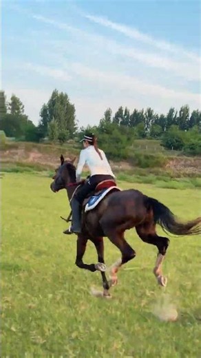 Riding the Wind: A Woman's Wild Horse Chase Across the Sun