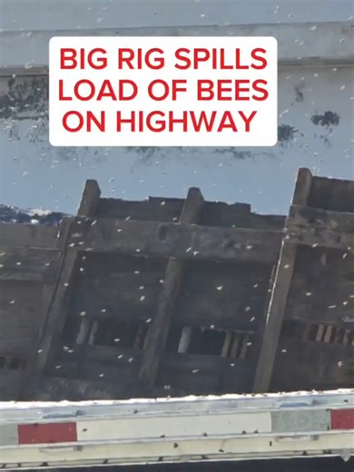 18-wheeler full of bees crashes in San Antonio #KSATnews #sanantonio | san antonio texas