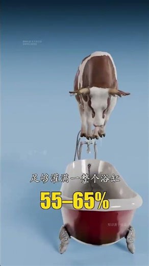 What can the water in the body be filled with#Popular science#Gain knowledge#Ding Yizh