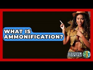 What Is Ammonification? - Ecosystem Essentials
