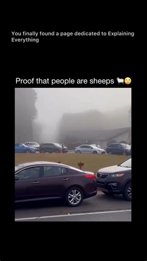 Explaining All Day on Instagram: "This traffic jam wasn’t caused by an accident. Or roadwork. Or a broken signal. It’s called a phantom traffic jam. In dense traffic, one small tap on the brakes forces the car behind to slow down slightly more. That delay ripples backward like a wave, growing larger with every driver reaction — until traffic grinds to a stop for no visible reason. Researchers have shown that congestion can form purely from human behavior, even on open roads with no obstacles. Th
