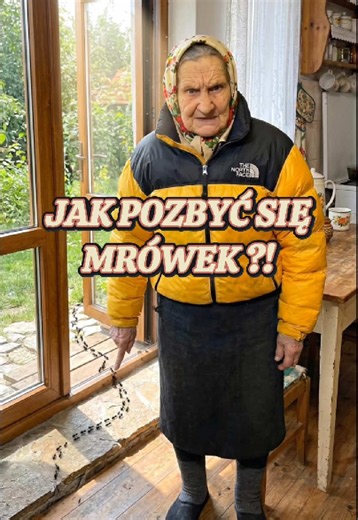 Jak pozbyć się mrówek w domu! Naturalna tarcza na próg i szuflady! 🤩 #mrówki #szkodniki #dom #kuchnia