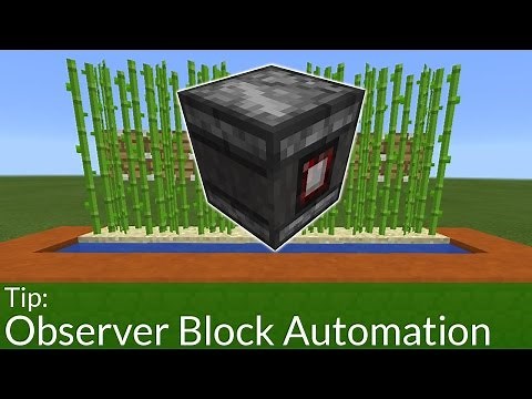 How To Build an Automated Sugar Cane Farm With Observer Blocks in PE