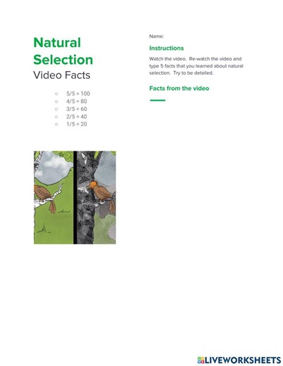 Natural Selection Video Facts worksheet