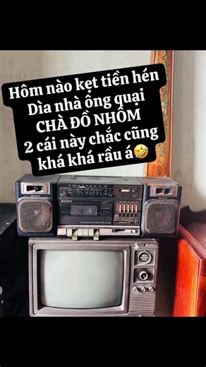 Có ai biết tuổi thọ của 2 ẻm này ko vậy? Sẵn tiện định giá giúp em zới nhen🤣 | Thao Huynh