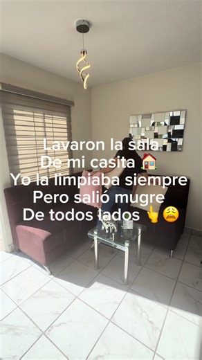 Lavando los sillones de mi casa - Resultados espectaculares