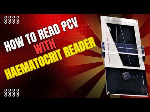 Reading PCV with a Hematocrit Reader | Step-by-Step Lab Guide