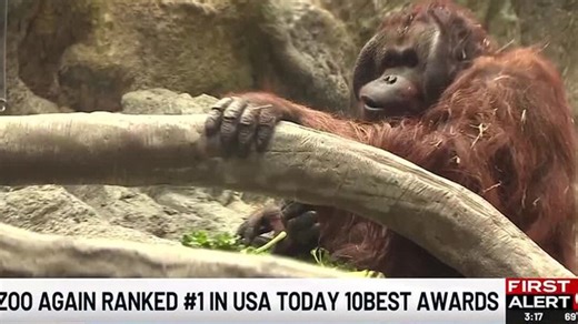Omaha's zoo is ranked #1 again | Haystack News