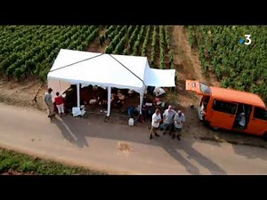 Saône-et-Loire : découverte d'une grotte du paléolithique à Germolles