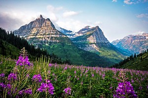 15 Amazing Things to Do on Your Visit to Glacier National Park