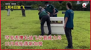 8.8K reactions · 1.8K shares |...