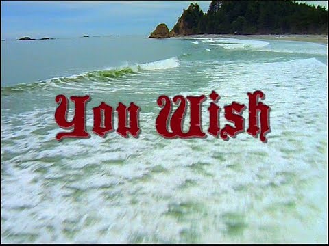 Spongebob - Patchy The Pirate Part 4 (Spongebob's You Wish Spectacular Special)