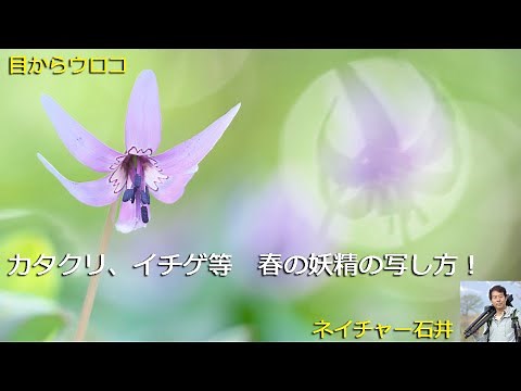 【目からウロコ】カタクリ撮影テクニック！