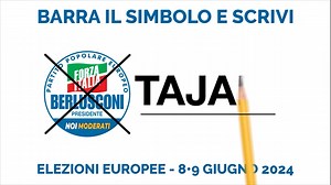 Una forza che sa aggregare, concreta, rassicurante. Una forza che porta avanti idee e progetti per un’Italia più forte anche in Europa. Un simbolo, che rappresenta i nostri valori e la nostra forza. Il tuo voto utile in Europa. | Forza Italia