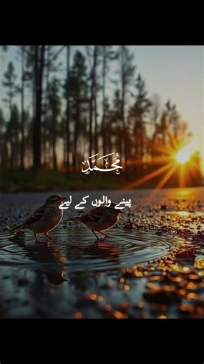 صبح کے وقت قرآن کا اردو ترجمہ | سمجھ کے ساتھ سنیں | نورِ قرآن