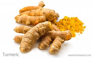 Turmeric