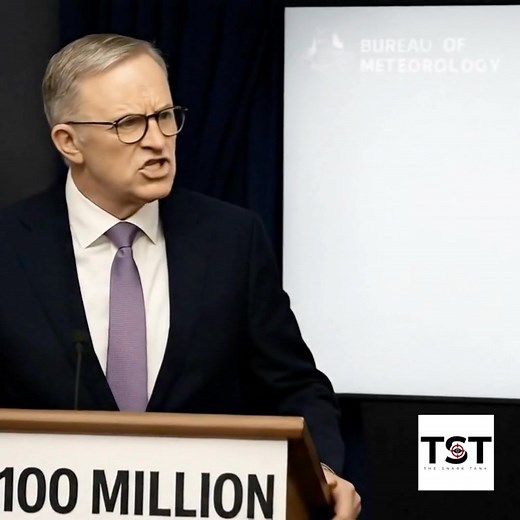 BOM: Blowing Our Money. | The Snark Tank