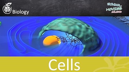 Mitosis - School Movie on Biology