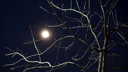 When's the next full moon? Dates for every one in 2025 and what time you can see them