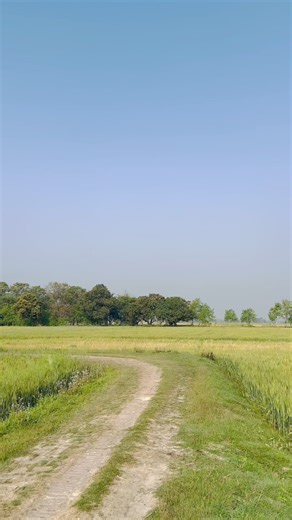 56K views · 1.1K reactions | YouTube में Success पाने के लिए 15...