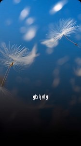 وآه يا حلو .. #aghani #music #explore #اكسبلور #fyp #viral #musica #tiktoklongs #adam #adamofficiallb #آدم #اغاني #اغاني_حب #اغاني_عربية | Musica.1