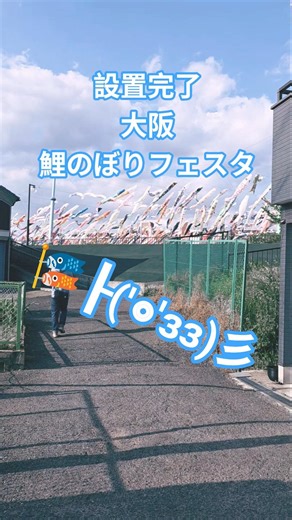 【こどもの日】大阪高槻芥川桜堤公園こいのぼりフェスタ1000#shorts#ゴールデンウィーク#GW#鯉のぼり圧巻#子供とお出かけ#設営完了