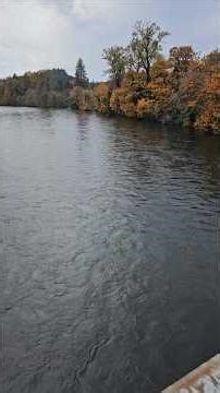 North Santiam River Coho Fishing Report November 4, 2025