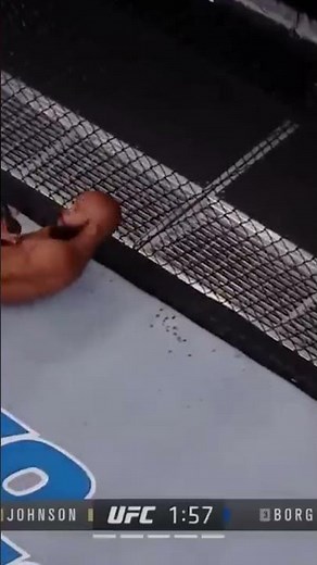 Mighty Mouse's INCREDIBLE FLYING ARMBAR against Ray Borg