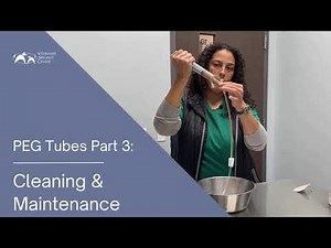 Cleaning & Maintenance of a PEG Tube for your dog or cat - Veterinary Specialty Center