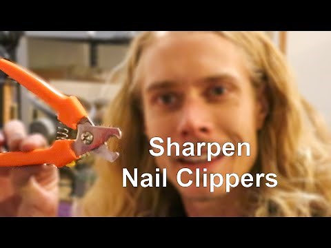 How to Sharpen Dog Nail Clippers