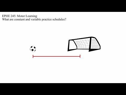 Constant and Variable Practice