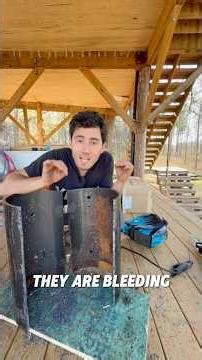 Woodpeckers Are Trying To Evict Me