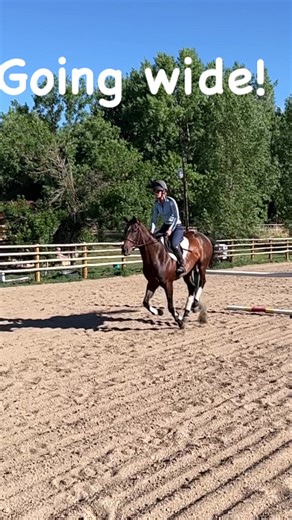 I could watch Belle jump all day 😍. #ottb #thoroughbred #horselife #parelli | Amy Bowers