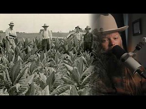 Burley Tobacco: The Accident That Changed Everything