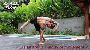 109 reactions · 10 comments | Join us for two days of expert training on Animal Flow, the fitness system we teach around the world! Increase mobility, strength, & performance with primal movement. SIGN UP NOW & get a discount code for our e-video for F R E E | Animal Flow | Facebook