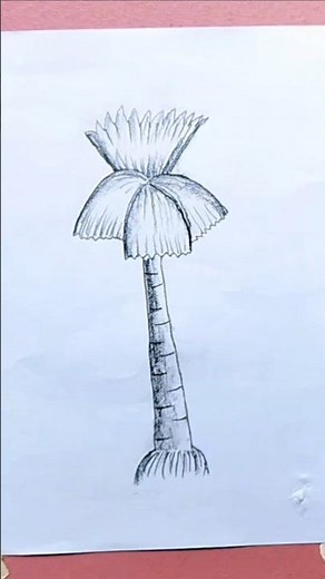 Palm Tree Drawing & Sketching for Beginners #drawing #art #sketching #easydrawing