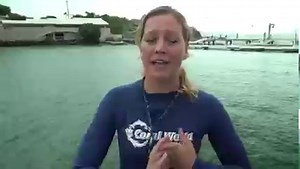 🐬 IT'S DOLPHIN AWARENESS MONTH! 🐬 Ever wonder how fast dolphins can swim? Well they happen to be one of the world's best swimmers. Coastal bottlenose dolphins typically swim between 3 to 6 miles per hour but have been known to swim as fast as 18 miles per hour! See how fast they swim for yourself when you book our DOLPHIN SPLASH AND SWIM! . . . #swimwithdolphins | Coral World Ocean Park