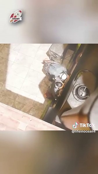 Narco Samreen: Taming the Ocean for Shipping 🚢🌍