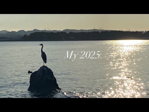 My 2025 wrapped | ASMR short 
