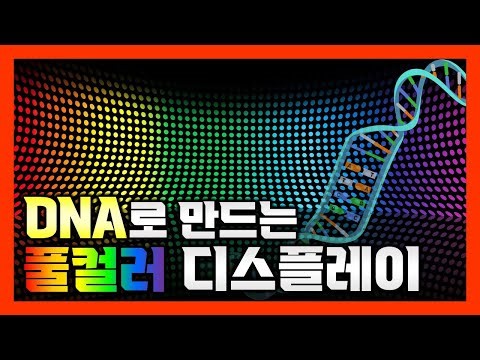 DNA와 대장균으로 만드는 풀컬러 디스플레이 [화학뉴스]