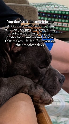 8.2K views · 855 reactions | Never alone | Baluga Bully Tribe | Facebook