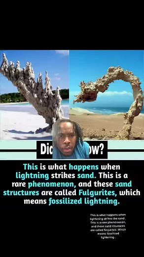 #greenscreen this is what happens when lightning strikes the sand #fulgurite #fossilized #struckbylightening #chrisfranklin966