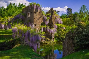 The Garden of Ninfa, the legendary Italian Garden built by a princess