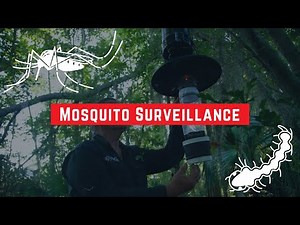 Mosquito Surveillance Program: Tracking Adult Mosquitoes & Larval Habitats